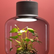 Светильник MYGDAL PLANTLIGHT